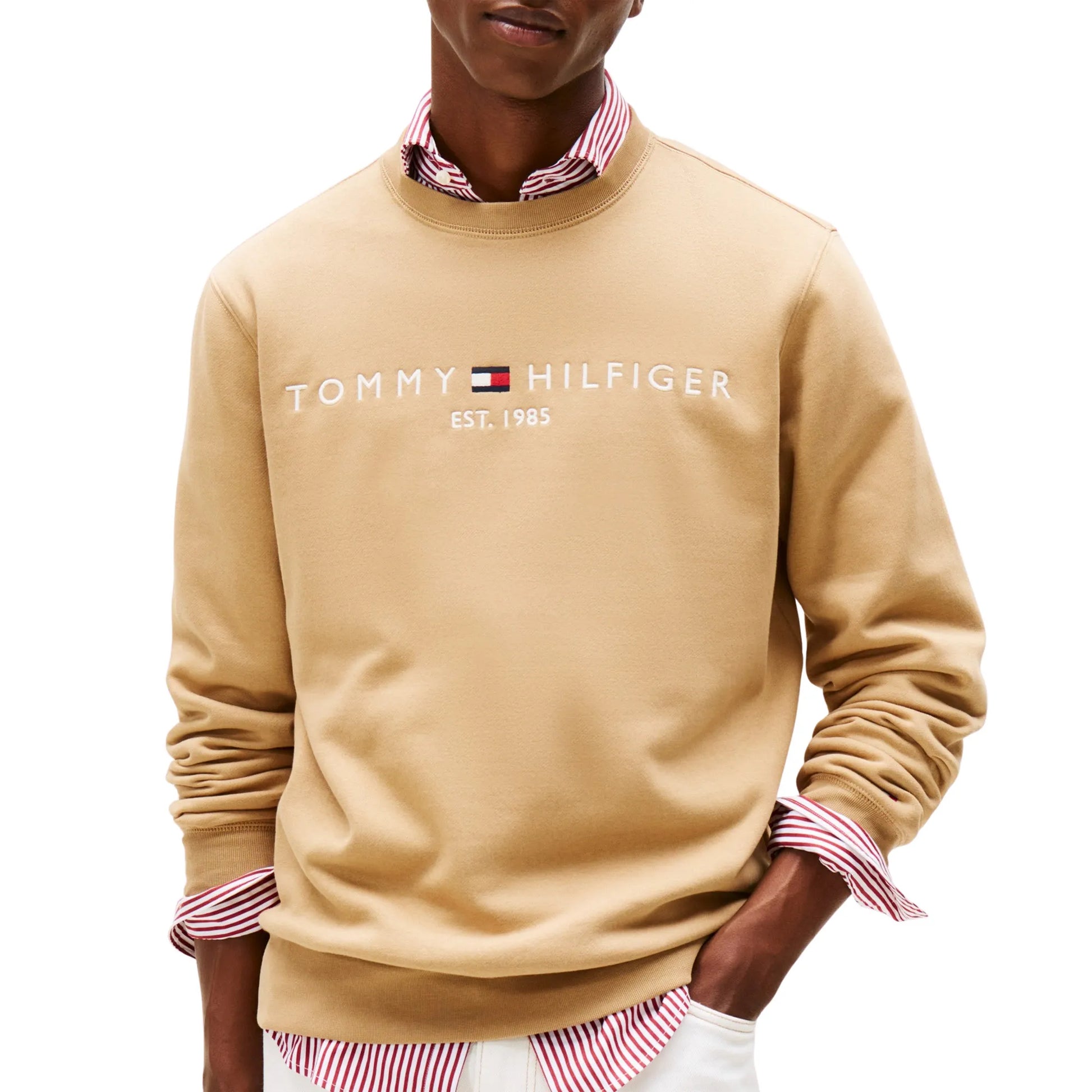Tommy Hilfiger Logo Sweater Men
